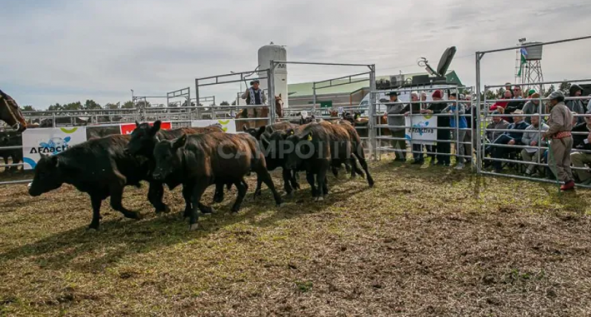 AFAactiva tuvo su primera edición 