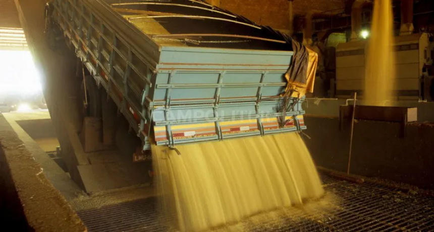  Casi 10 millones de toneladas de soja salieron de los silos gracias al 