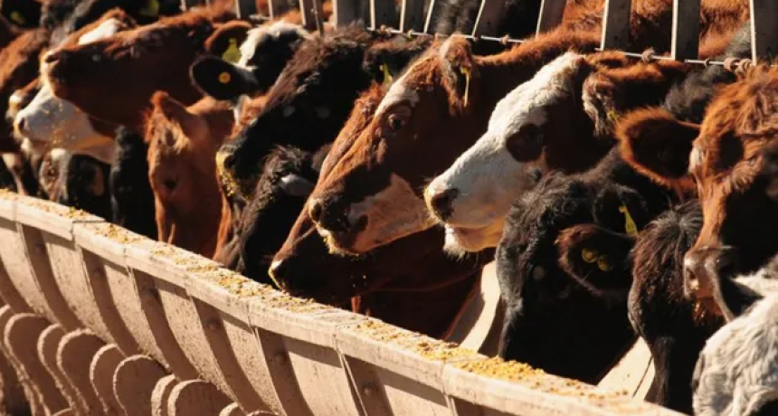 Senasa desarrolló tableros dinámicos