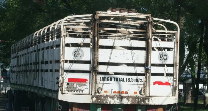  Anticipan un incremento en la tarifa del transporte de hacienda