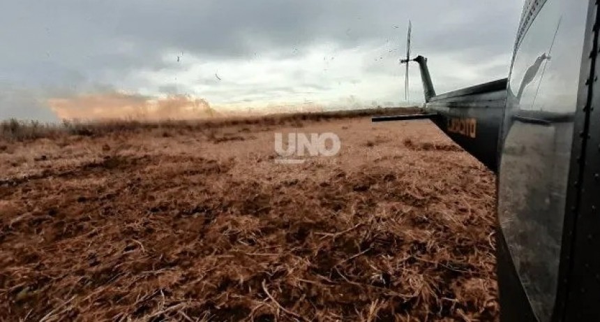 Proponen declarar al delta del Paraná 