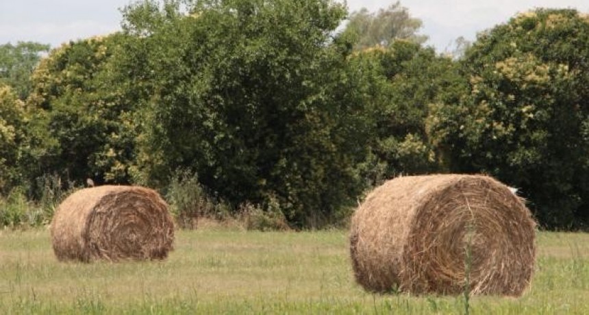 Se encuentran disponibles los créditos para productores agropecuarios santafesinos a tasa subsidiada