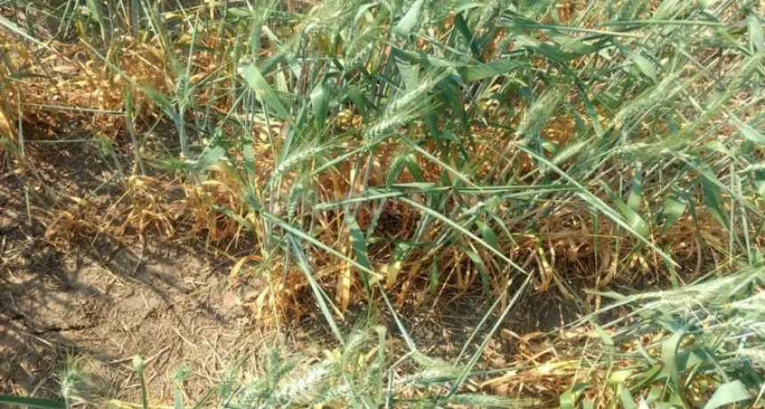 Se sigue extendiendo el área con reservas hídricas deficitarias