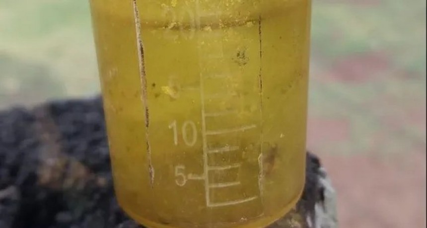 Los pluviómetros volvieron a juntar lluvia pero a no ilusionarse