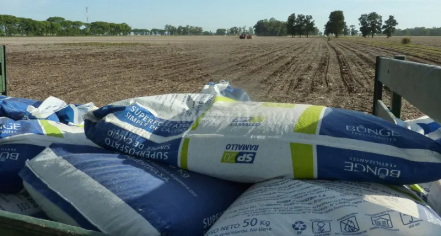 Alerta por el atraso cambiario y el cepo importador