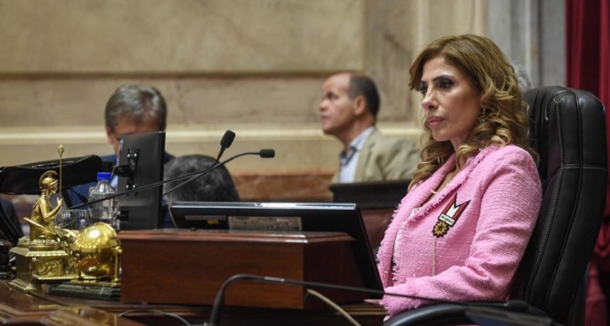 La senadora Zamora presidió la sesión en la que se prorrogaron las asignaciones a industrias culturales y el Régimen de regulación dominial para la integración sociourbana