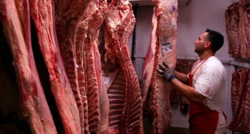 Frigor&iacute;ficos de la Regi&oacute;n Centro anunciaron un paro por el troceo