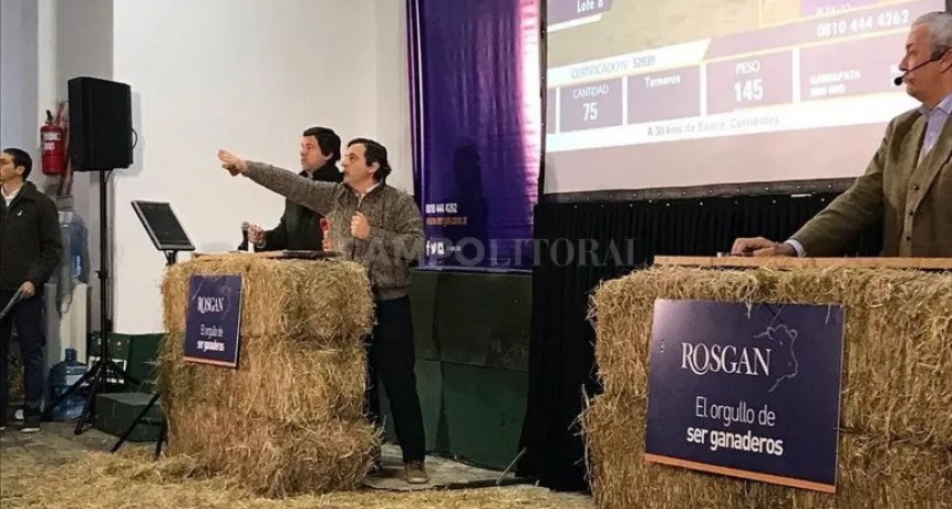 La incertidumbre política y económica llegó al mercado de invernada 