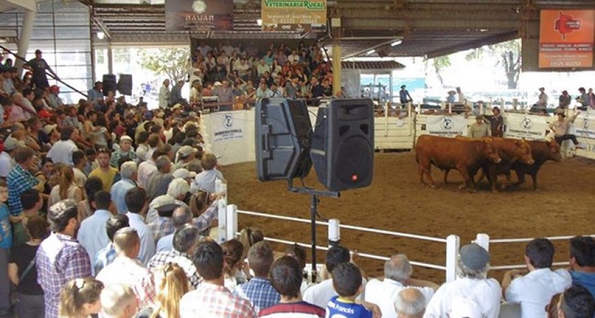 Día después de las elecciones: subieron precios de la hacienda en el remate de Jesus María
