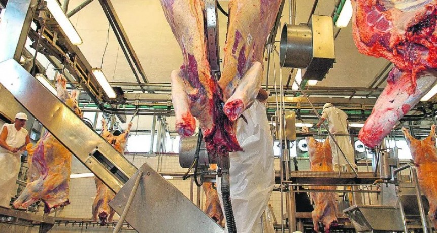 Actualizan una herramienta online para que el ganadero sepa más sobre la faena de su animal