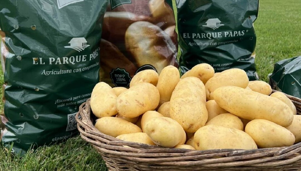 Producen papas en Otamendi y una gigante global de los alimentos los premió por su “agricultura positiva”
