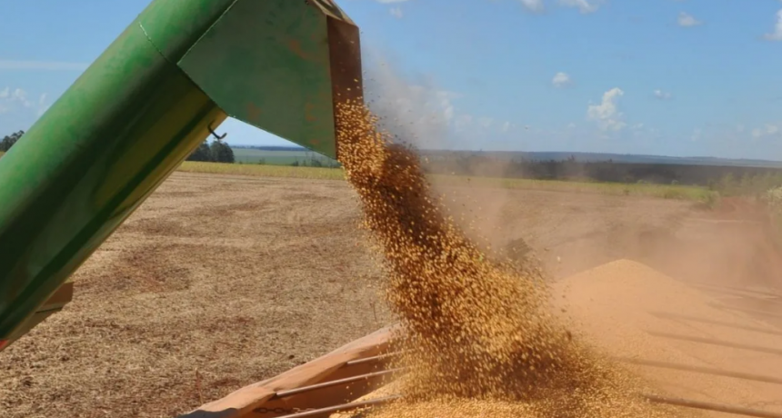 Se diluye retenciones «cero» y el mercado entra en una corriente bajista