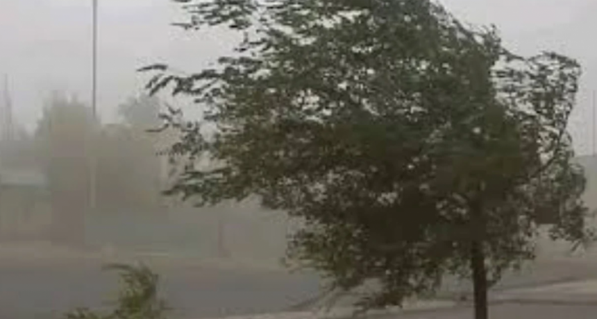 Rige un alerta amarillo por viento y tormentas para Santa Fe y provincias vecinas