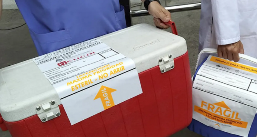 Habló la madre del donante de Santa Fe que posibilitó la ablación inédita en Latinoamérica: 