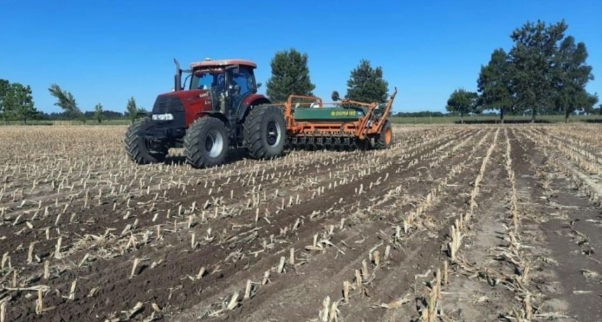 Cerr&oacute; la siembra de ma&iacute;z temprano en el centro norte santafesino con 95.000 hect&aacute;reas implantadas