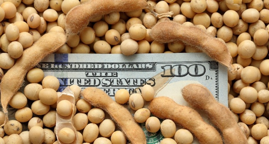 Retenciones cero: un informe económico afirma que parte del beneficio llegó a los productores