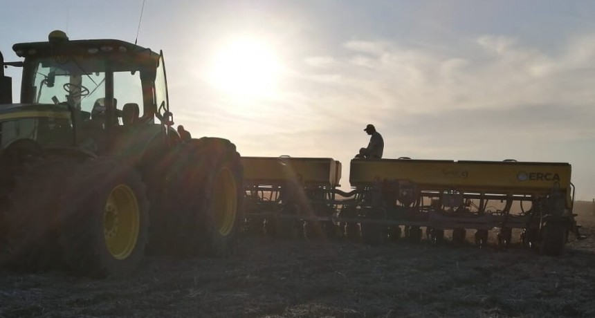 Soja 2025/26: la primera proyección de siembra del Gobierno marca 500.000 hectáreas menos