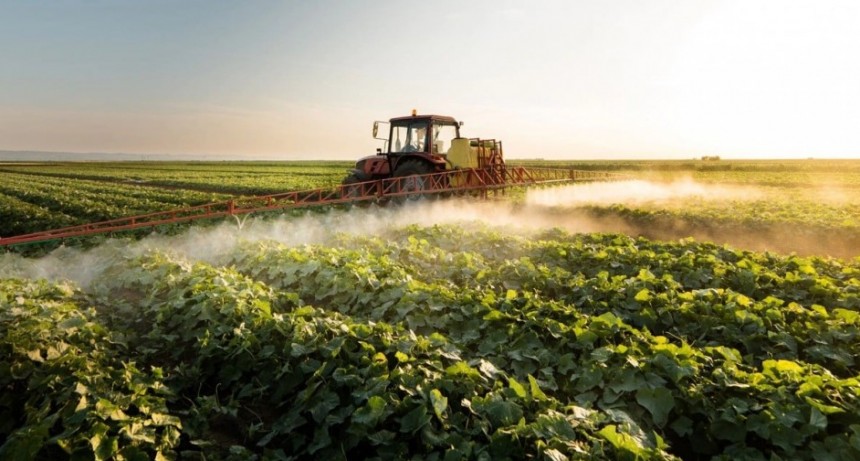 Un país caro para vender barato: el 