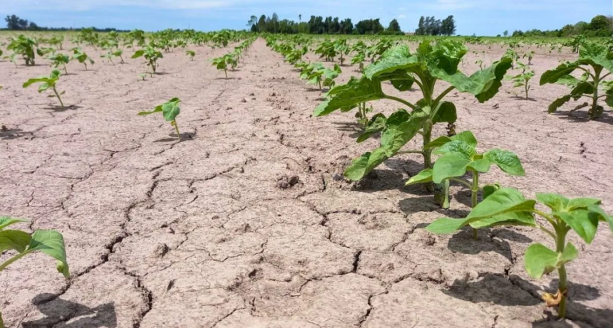 Inici&oacute; La Ni&ntilde;a: c&oacute;mo est&aacute;n las reservas de agua para afrontar esta situaci&oacute;n