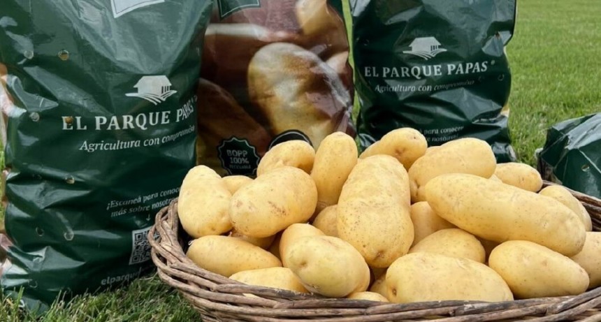 Producen papas en Otamendi y una gigante global de los alimentos los premió por su “agricultura positiva”