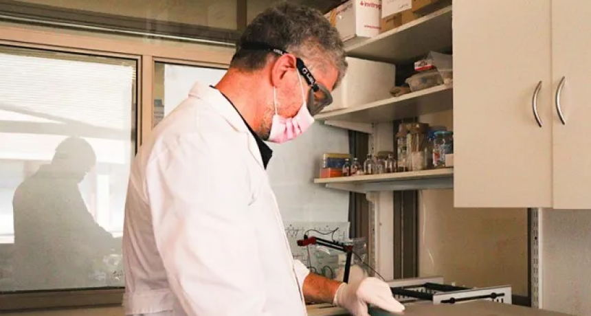 Ensayan una vacuna nasal para prevenir y tratar el Chagas crónico