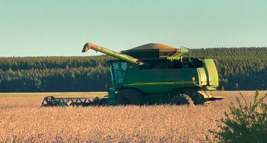 “Agravan las brechas de competitividad”: en Entre Ríos, las retenciones se llevan U$S 93 millones por año