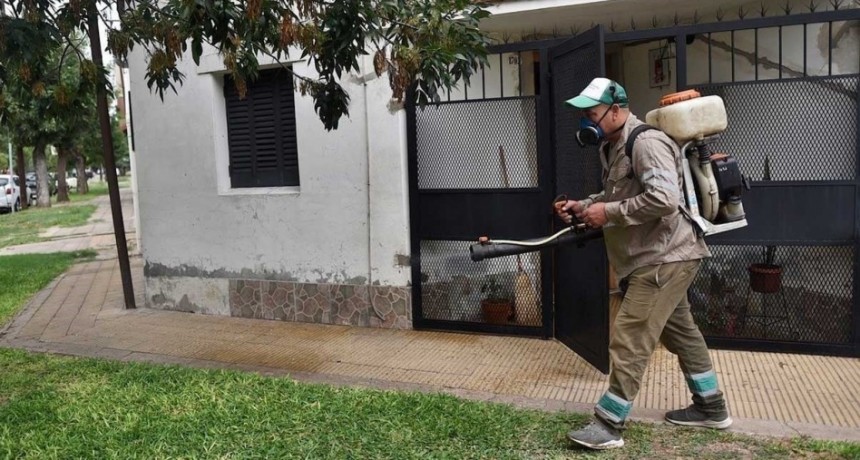 Dengue en Santa Fe: son 16 los barrios donde se encontró la presencia del vector transmisor