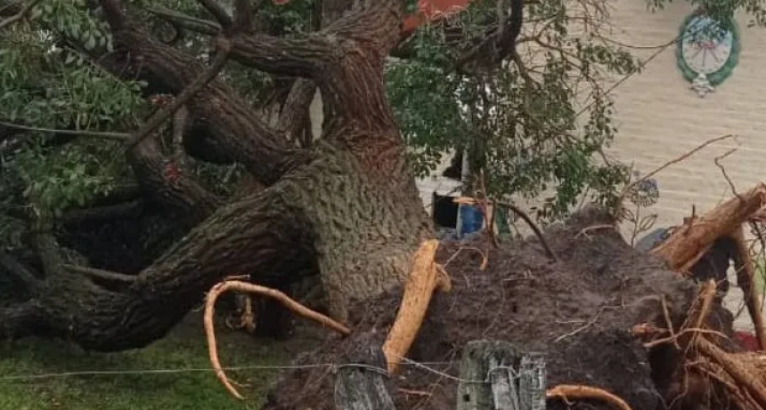 Tornado destruy&oacute; una escuela rural en el departamento Vera
