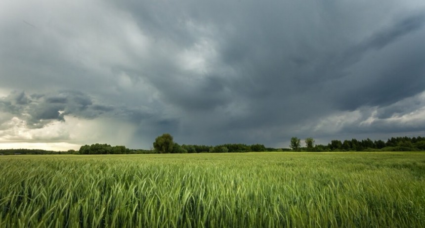 Volvi&oacute; el invierno: avanza un frente fr&iacute;o, con riesgo de heladas que podr&iacute;an afectar a los cultivos