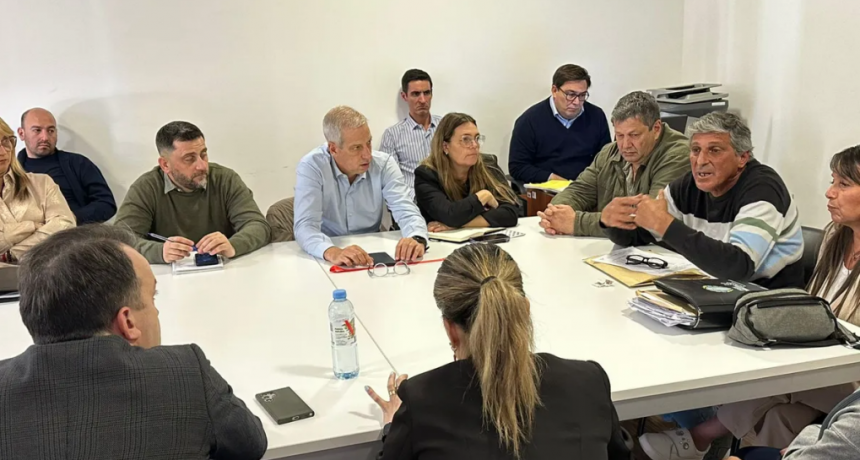 ¿Salvataje para Algodonera Avellaneda y Vicentin?: analizan posibles soluciones para dos empresas en crisis