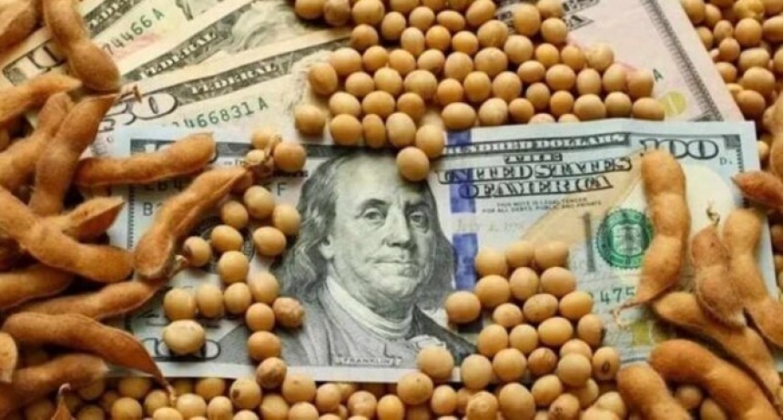 ¿Menos retenciones en 2026?: la soja se está pagando con una alícuota implícita de entre 17% y 20%