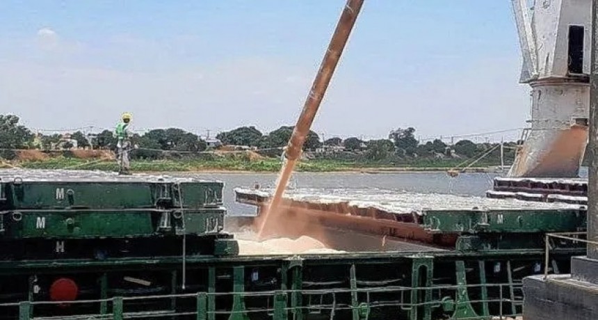 Sequía: postergan las exportaciones de trigo para garantizar el abastecimiento interno