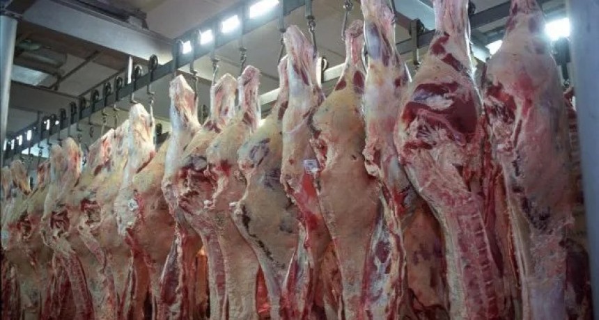 Postergan el troceo de la carne y frigoríficos de Santa Fe plantean otros 