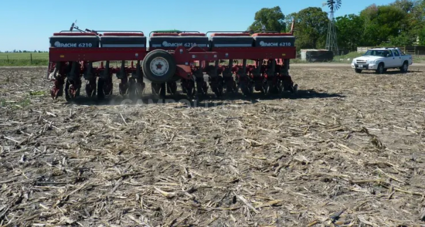 Sembrar o esperar, esa es la cuestión 