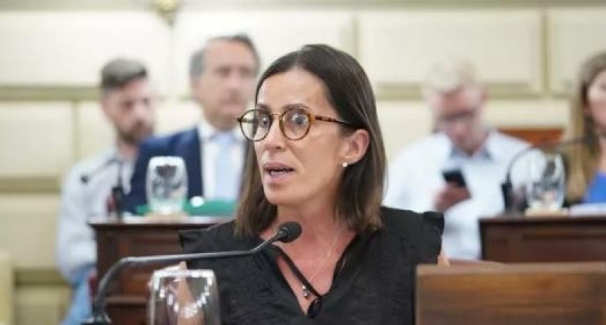 Piden que se reglamente la Ley de Ficha Limpia para que se aplique en las elecciones 2023