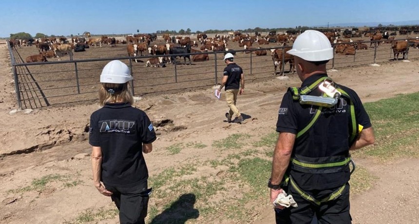 La AFIP sancionó a feedlots por subdeclarar stocks de granos