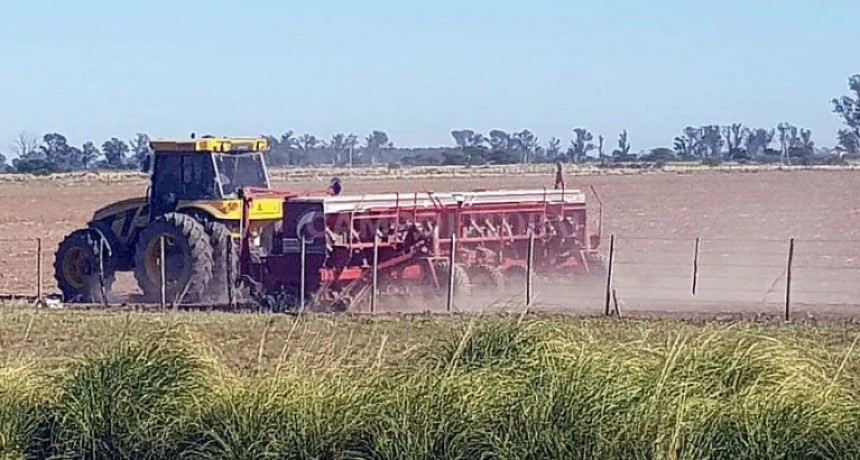 Tibio inicio de la campaña de soja