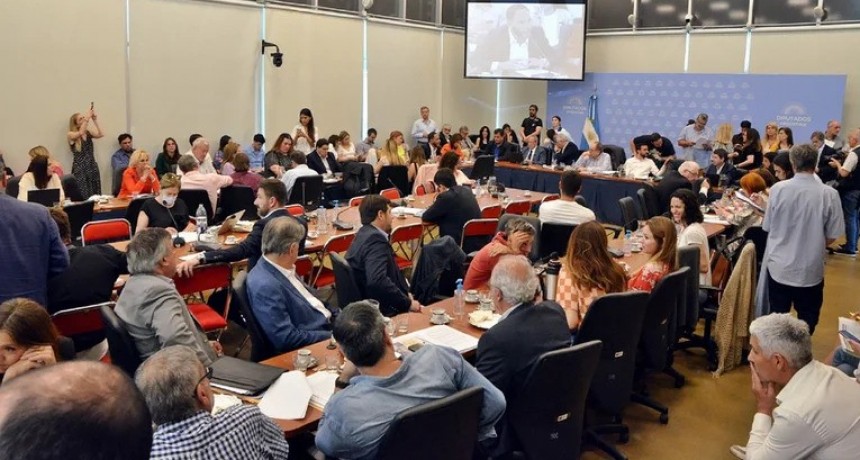 Ley de Humedales: el FdT votó dividido por presión de los gobernadores y JxC se quedó con el dictamen de mayoría