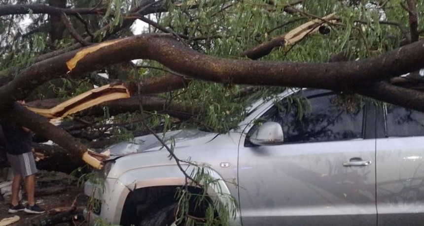 La fuerte tormenta, con vientos, granizo y descargas eléctricas ocasionó severos daños en la Capital, La Banda y todo el interior