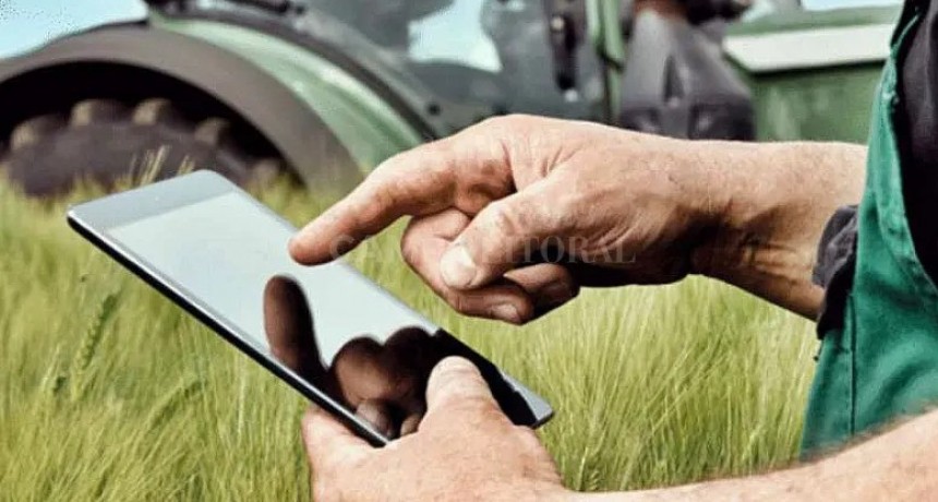 Tutorial: paso a paso, el trámite para obtener la compensacion para sembrar soja o maíz 