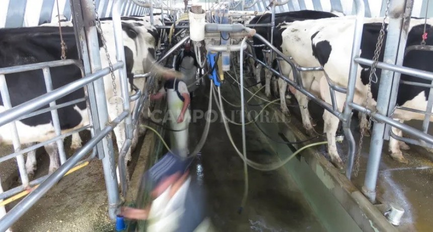  Cierra las tranqueras un tambo modelo