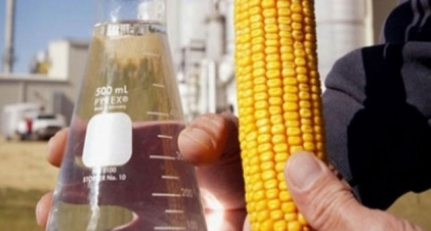 Producción de etanol en Córdoba: ¿Qué sucede si aumenta el corte de las naftas?