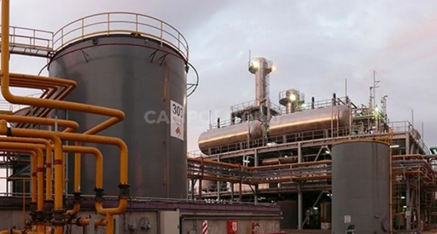 Biopymes ven con recelo la intención de las grandes aceiteras de proveer biodiesel al mercado interno