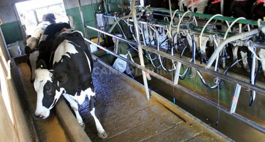  Lluvia y algo más: la normalización en el campo dependerá también de la eficiencia financiera