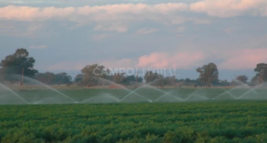 Es el momento del riego 