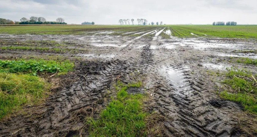 El este de la zona agrícola ya recuperó un 40% de agua útil en el perfil 