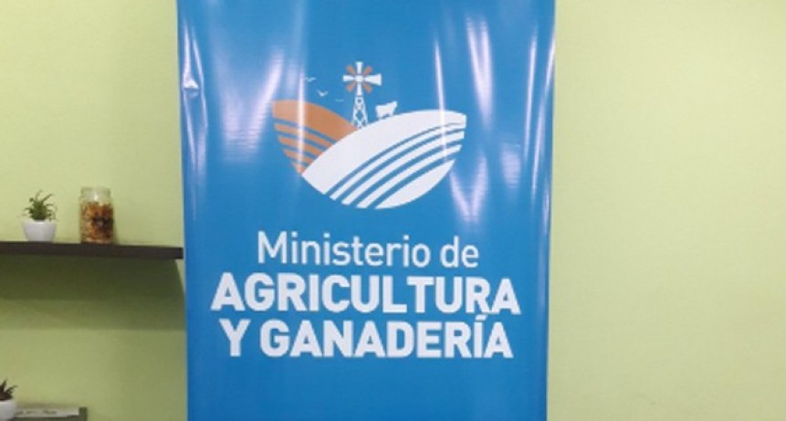 Llaryora reducir&aacute; la cantidad de ministerios en C&oacute;rdoba: qu&eacute; pasar&iacute;a con Agricultura y Ganader&iacute;a