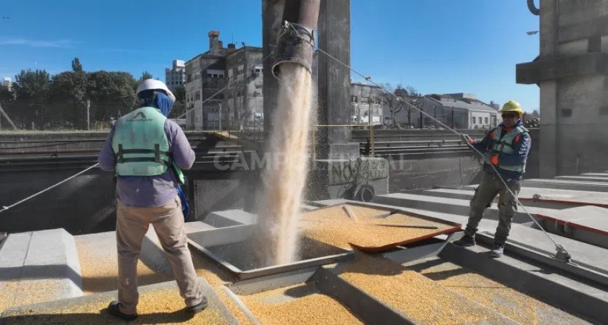  Brusca caída de las agro exportaciones 