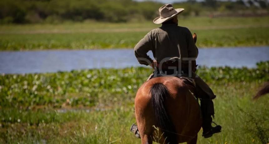 Santa Fe ya tiene su inventario de humedales: una guía para preservarlos y garantizar su supervivencia