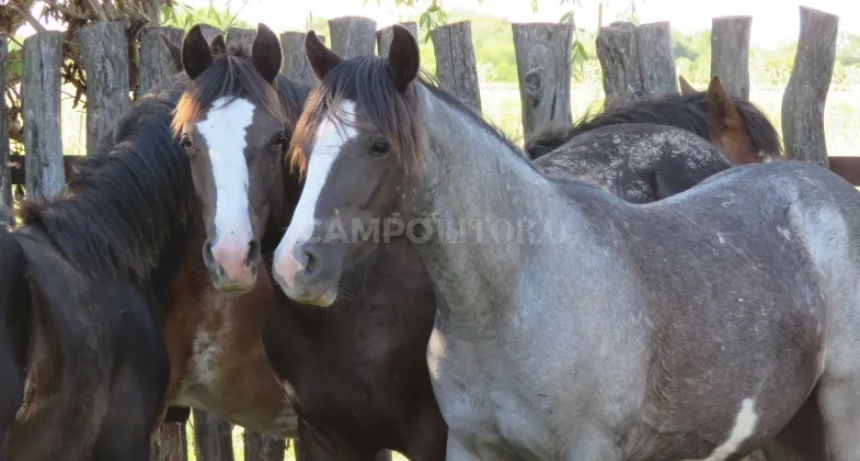 Una patología que se extiende   